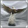 AIGLE - OEIL de TIGRE - 380x260x120 mm - 1660 grammes - A001 P�rou