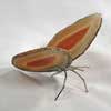<font color=#22C2FF>Agates Papillon</font>