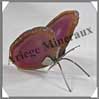 AGATE VIOLETTE - Papillon (Taille 2) - 75x40 mm - 52 grammes - M010 Brésil