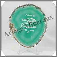 AGATE ZODIAQUE - 12 - POISSON - 90x80 mm - M001