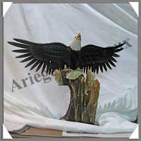 AIGLE - ONYX NOIR - 430 mm - 9600 grammes - A001