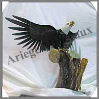 AIGLE - ONYX NOIR - 430 mm - 9600 grammes - A001