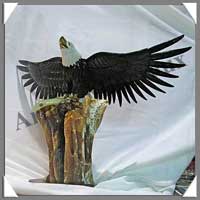 AIGLE - ONYX NOIR - 430 mm - 9600 grammes - A001