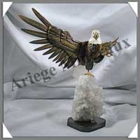 AIGLE - OEIL de TIGRE - 380x260x120 mm - 1660 grammes - A001