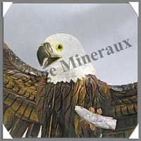 AIGLE - OEIL de TIGRE - 380x260x120 mm - 1660 grammes - A001