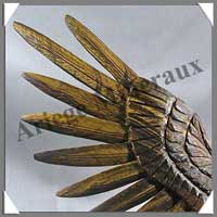 AIGLE - OEIL de TIGRE - 450x280x120 mm - 2260 grammes - A002