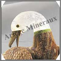 CANARD - ARAGONITE - 200 mm - 4900 grammes - A001