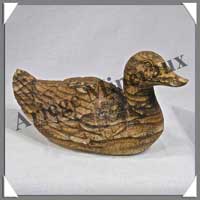 CANARD - JASPE du KALAHARI - 120x65x60 mm - 270 gr ammes- C001