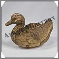 CANARD - JASPE du KALAHARI - 85x60x45 mm - 150 grammes - C002