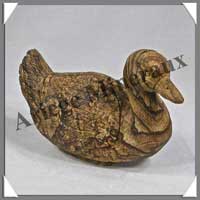 CANARD - JASPE du KALAHARI - 85x55x35 mm - 145 grammes - C003