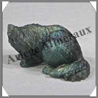 CHAT - LABRADORITE - 60x30x25 mm - 55 grammes - A004