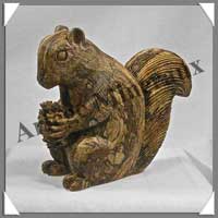 ECUREUIL - JASPE du KALAHARI - 100x95x45 mm - 470 grammes - A001