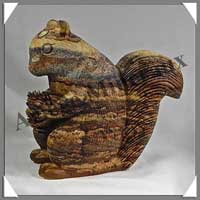 ECUREUIL - JASPE du KALAHARI - 100x95x50 mm - 540 grammes - A002
