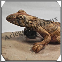 IGUANES (Couple) - JASPE PAYSAGE - 310x150x100 mm - 3 200 grammes - A001