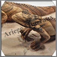 IGUANES (Couple) - JASPE PAYSAGE - 310x150x100 mm - 3 200 grammes - A001