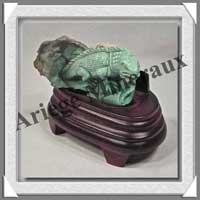 IGUANE - VARISCITE - 95x55x30 mm - 225 grammes - A001