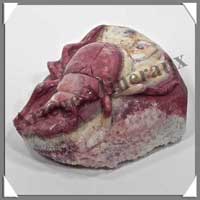 INSECTE - JASPE ROUGE - 85x70x30 mm - 234 grammes - A001