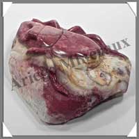 INSECTE - JASPE ROUGE - 85x70x30 mm - 234 grammes - A001