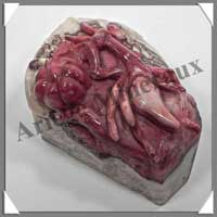 INSECTE - JASPE ROUGE - 100x80x50 mm - 674 grammes - A002