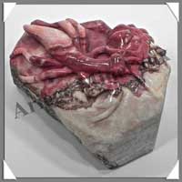 INSECTE - JASPE ROUGE - 100x80x50 mm - 674 grammes - A002