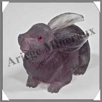 LAPIN - FLUORITE VIOLETTE - 80x60x45 mm - 213 grammes - A001