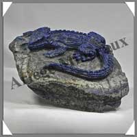 LEZARD - LAPIS LAZULI - 85x80x35 mm - 250 grammes - A002