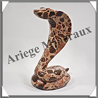 NAJA - LEOPARDITE (Jaspe Lopard) - 145x100x60 mm - 425 grammes - A003