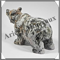 OURS - JASPE ORBICULAIRE - 80x50x40 mm - 164 grammes - A002