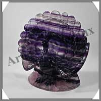 PAON - FLUORITE VIOLETTE - 130x130x50 mm - 560 grammes - A002