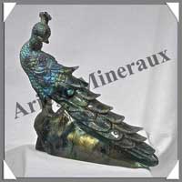 PAON - LABRADORITE - 170x150x45 mm - 650 grammes - A002