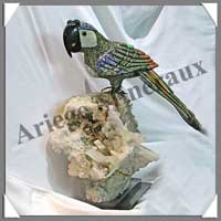 PERROQUET - SERPENTINE - 530 mm - 27 500 grammes - A001