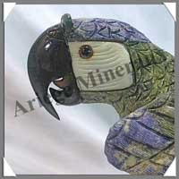 PERROQUET - SERPENTINE - 530 mm - 27 500 grammes - A001