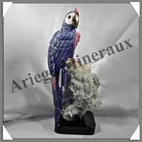 PERROQUET - SODALITE - 320x140x110 mm - 2 780 grammes - A002