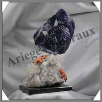 POISSON - SODALITE - 280x145x80 mm - 2300 grammes - P001