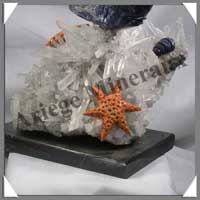 POISSON - SODALITE - 280x145x80 mm - 2300 grammes - P001