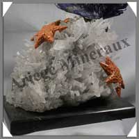 POISSON - SODALITE - 280x145x80 mm - 2300 grammes - P001