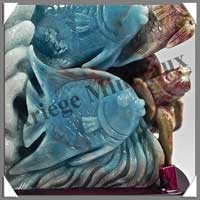 POISSONS - POULPE - TORTUE - AMAZONITE - 200x190x110 mm - 2 140 grammes - A002