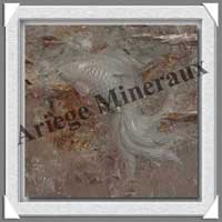 POISSONS - CRISTAL de ROCHE - 280x195x110 mm - 2 200 grammes - A001