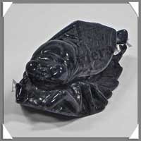 SCARABEE - DUMORTIERITE - 75x40x35 mm - 90 grammes - A001