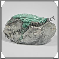 SCORPION - VARISCITE - 50x35x25 mm - 50 grammes - A002