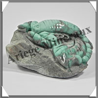 SCORPION - VARISCITE - 50x35x25 mm - 50 grammes - A002