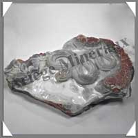 SERPENT - CALCEDONE - 320x195x85 mm - 4 540 grammes - A001