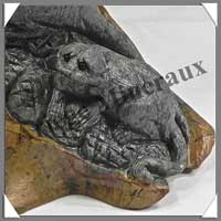 SURICATES (Trio) - JASPE ARGENTE - 150x130x95 mm - 1 180 grammes - A001