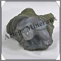 TORTUE - AGATE - 70x60x40 mm - 130 grammes - A002