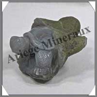 TORTUE - AGATE - 70x60x40 mm - 130 grammes - A002