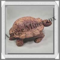 TORTUE - ARAGONITE - 180x120x85 mm - 1 360 grammes - A001