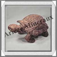 TORTUE - ARAGONITE - 180x120x85 mm - 1 360 grammes - A001