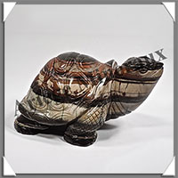 TORTUE - JASPE HEMATOIDE - 135x80x75 mm - 910 grammes - A001