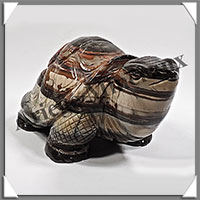TORTUE - JASPE HEMATOIDE - 135x80x75 mm - 910 grammes - A001