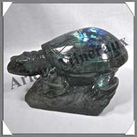 TORTUE - LABRADORITE - 180x90x65 mm - 2 150 grammes -  A002